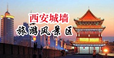 我要操屄中国陕西-西安城墙旅游风景区